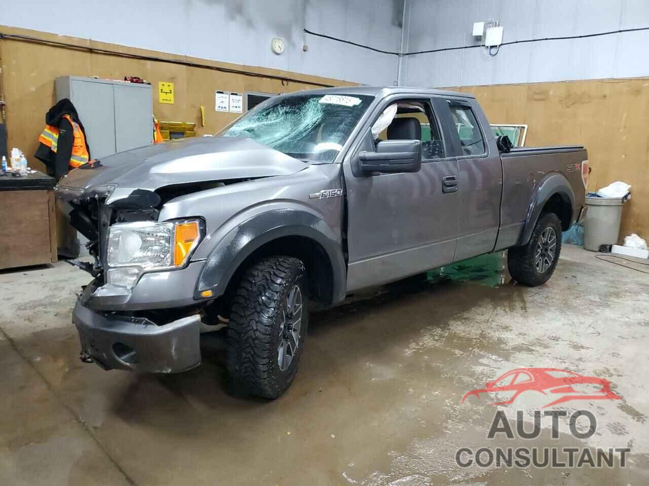 FORD F-150 2013 - 1FTFX1EF7DFC53067