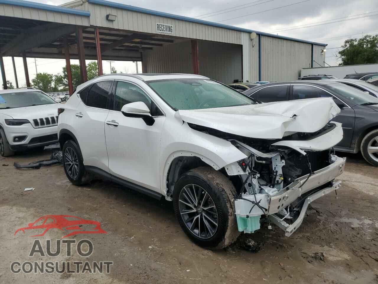 LEXUS NX 250 PRE 2024 - 2T2GDCAZ2RC007788