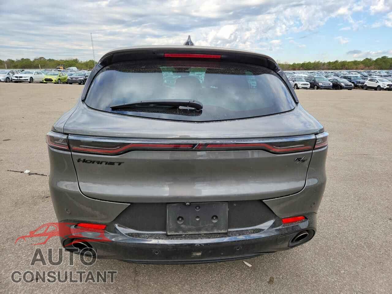 DODGE ALL OTHER 2024 - ZACPDFDW0R3A12152