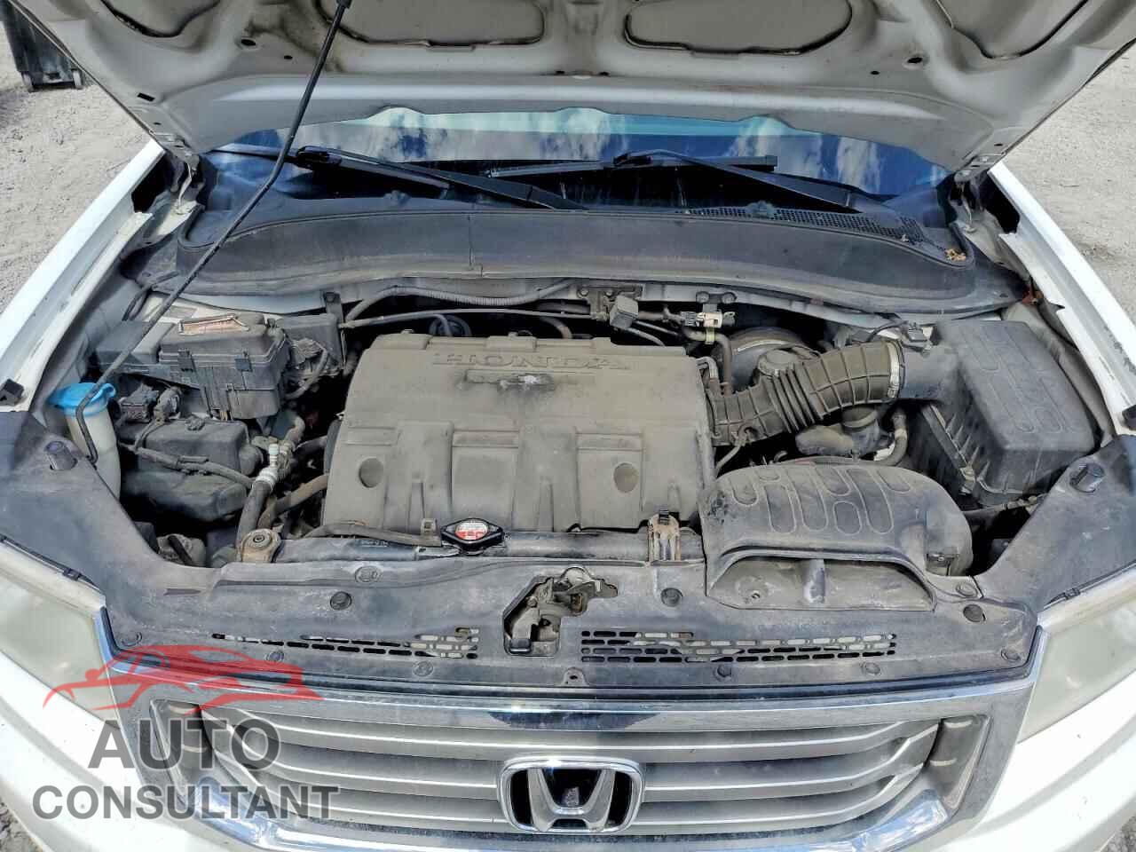 HONDA RIDGELINE 2013 - 5FPYK1F51DB006443