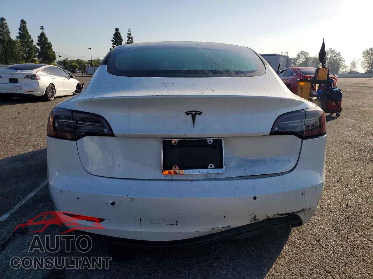 TESLA MODEL 3 2019 - 5YJ3E1EA5KF299883