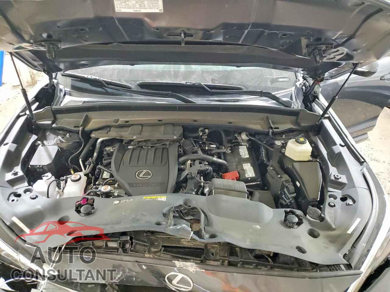 LEXUS UNKNOWN 2024 - 5TDAAAA66RS011475