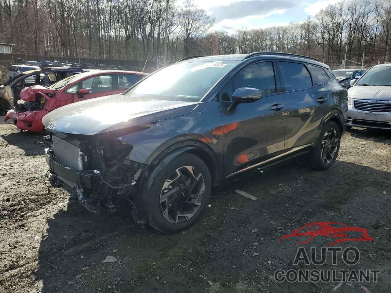 KIA SPORTAGE 2024 - 5XYK53DF0RG192649