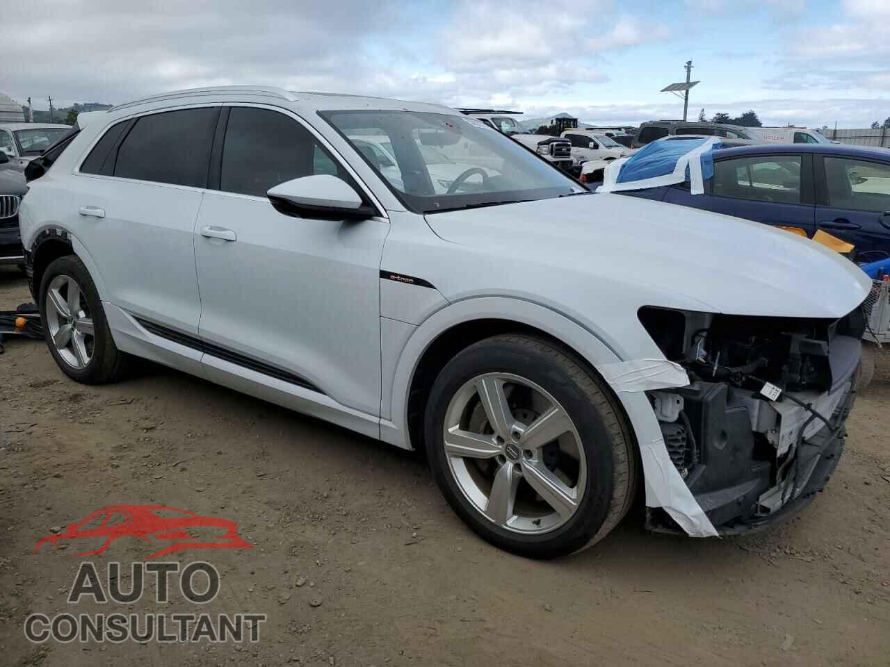 AUDI E-TRON 2019 - WA1LAAGE5KB022305