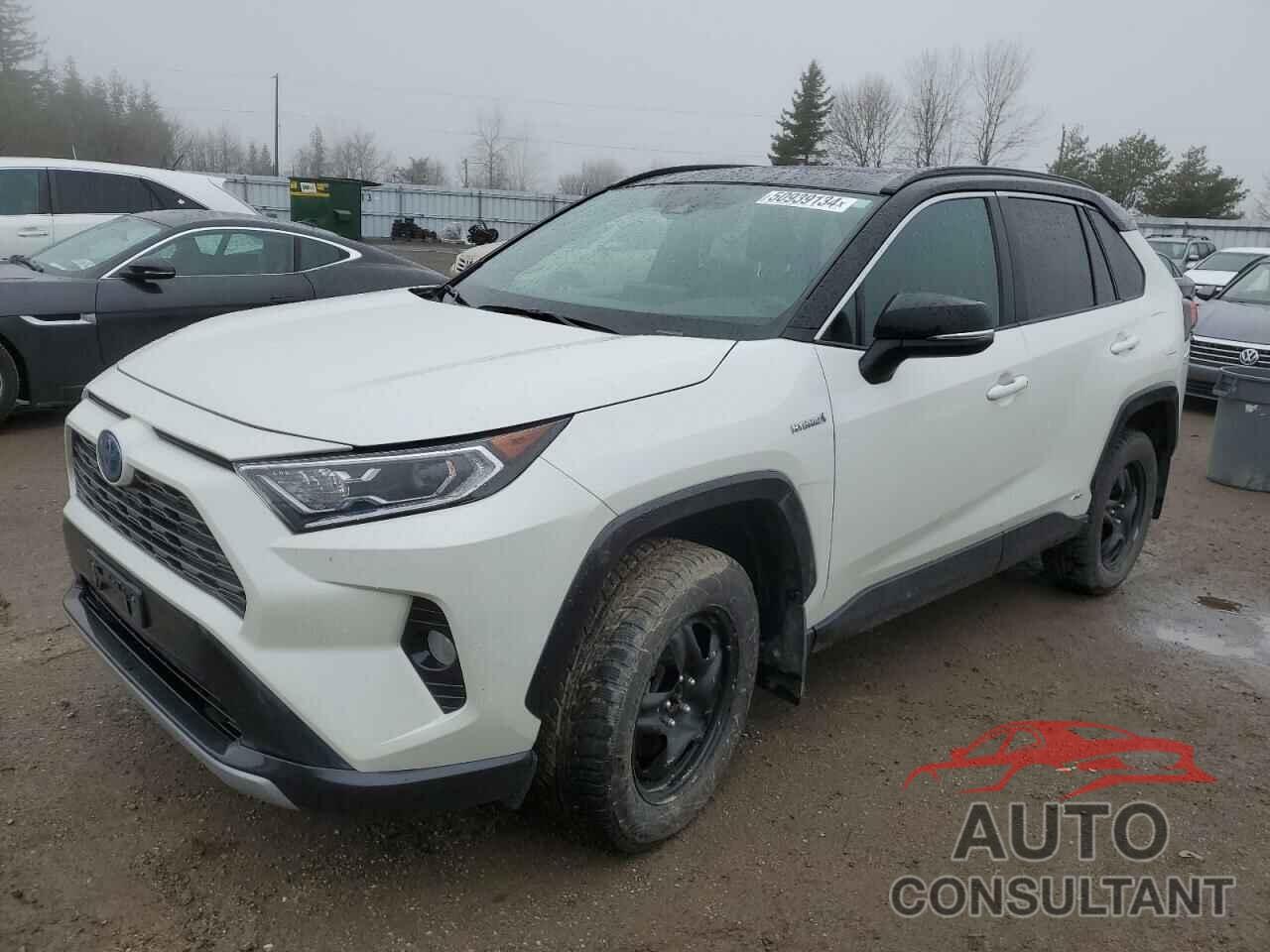 TOYOTA RAV4 2019 - 2T3RWRFV7KW004736