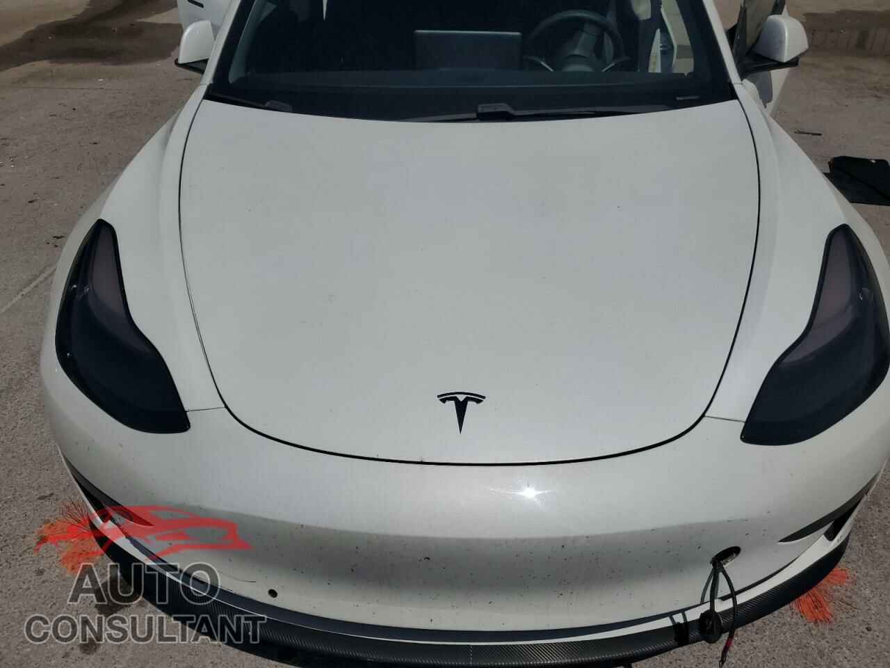 TESLA MODEL 3 2019 - 5YJ3E1EB3KF494258