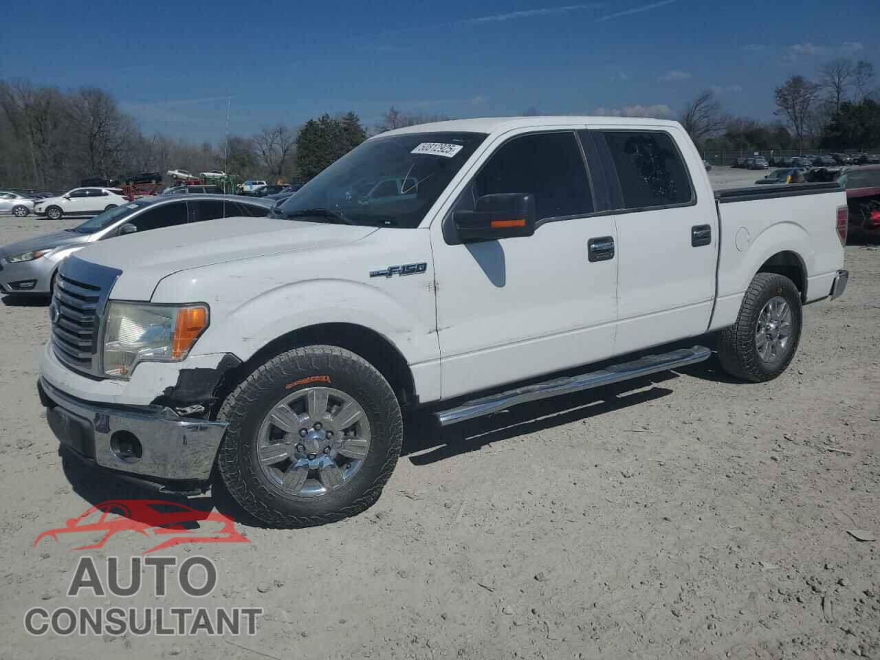 FORD F-150 2011 - 1FTEW1CM2BFC84689