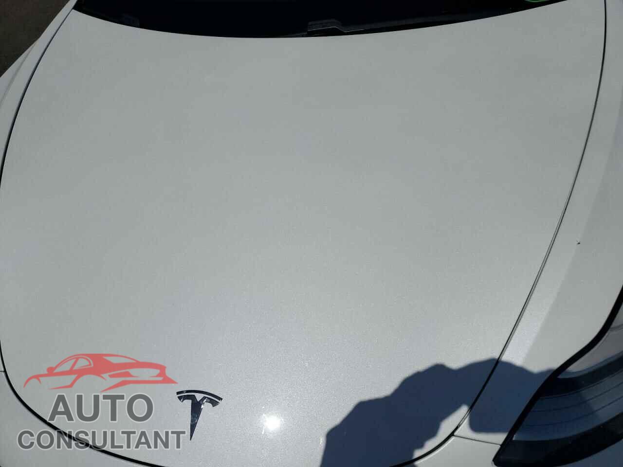 TESLA MODEL 3 2019 - 5YJ3E1EA7KF417741