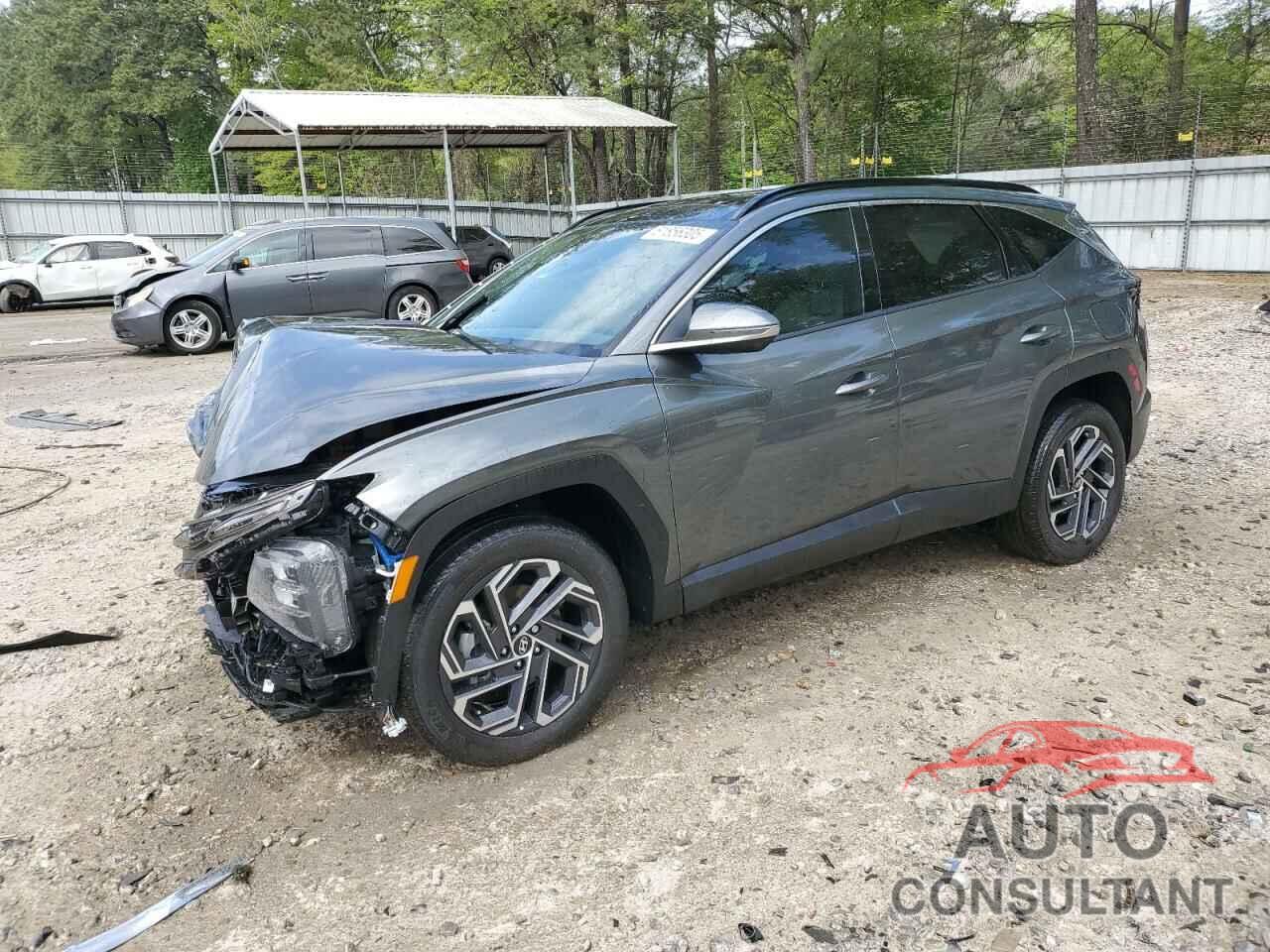 HYUNDAI TUCSON 2025 - KM8JEDD17SU263464