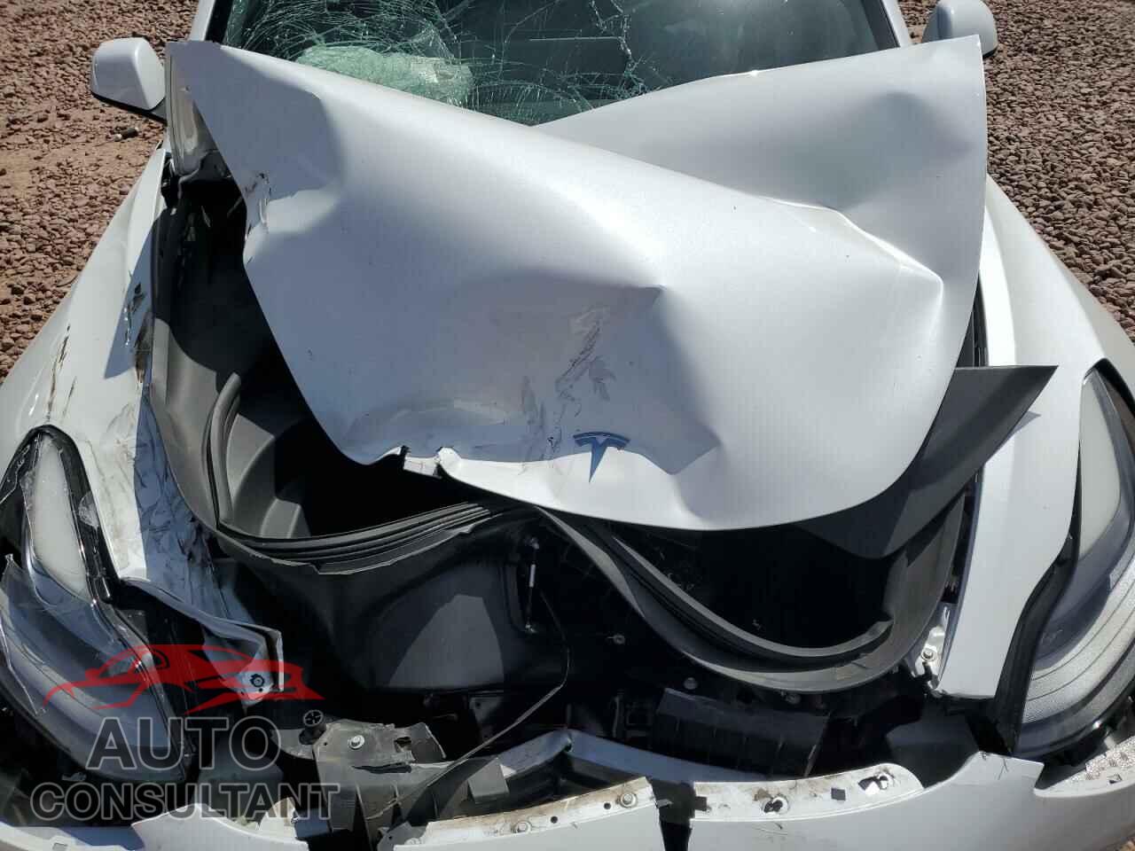 TESLA MODEL 3 2021 - 5YJ3E1EA5MF100477