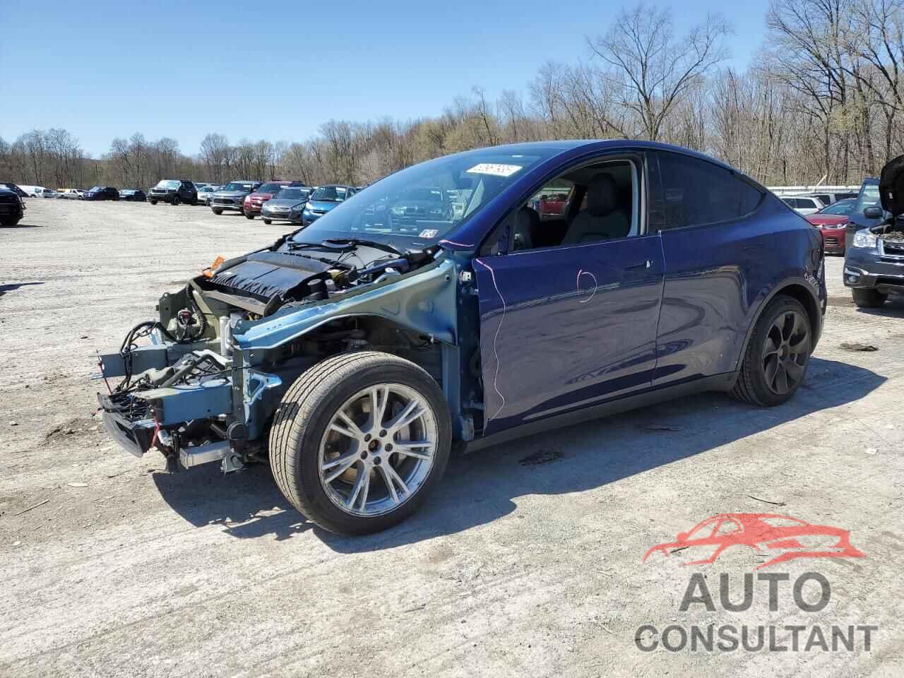 TESLA MODEL Y 2023 - 7SAYGAEE2PF620551
