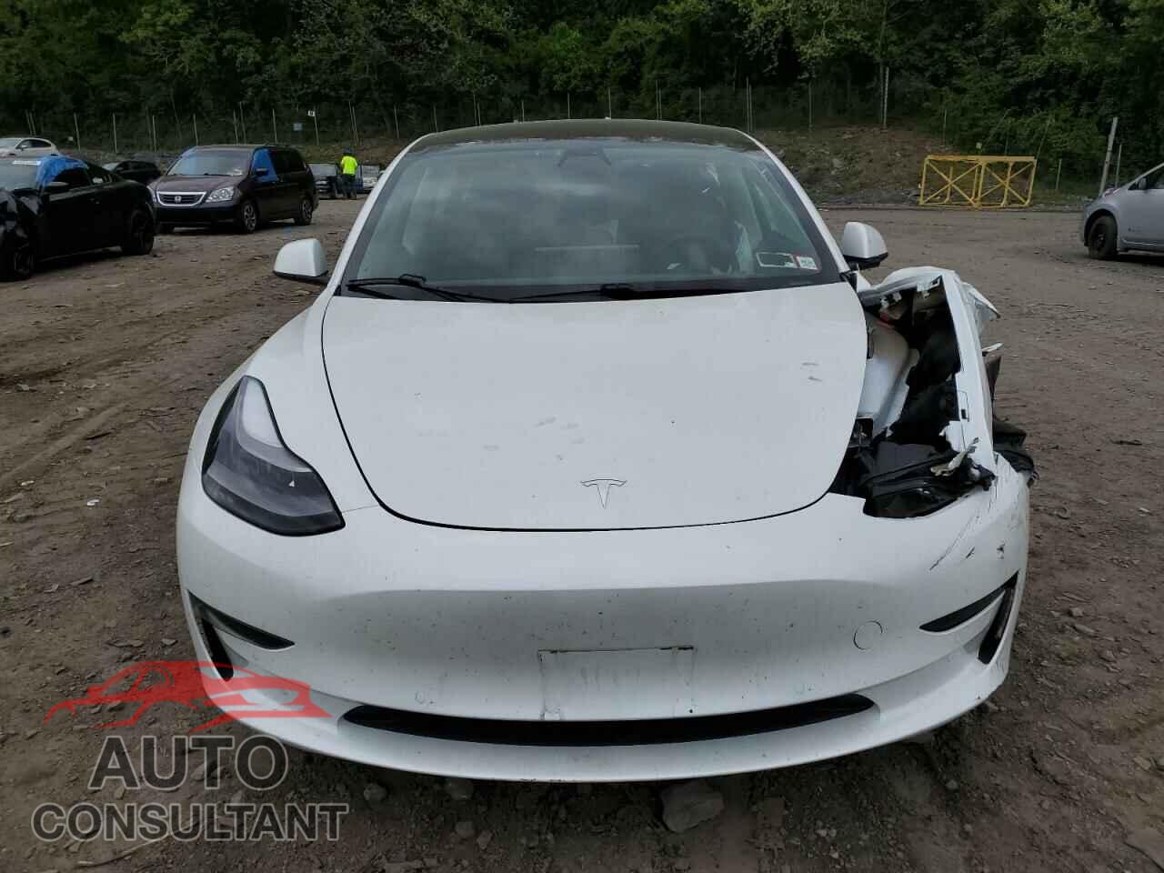 TESLA MODEL 3 2021 - 5YJ3E1EA0MF063676