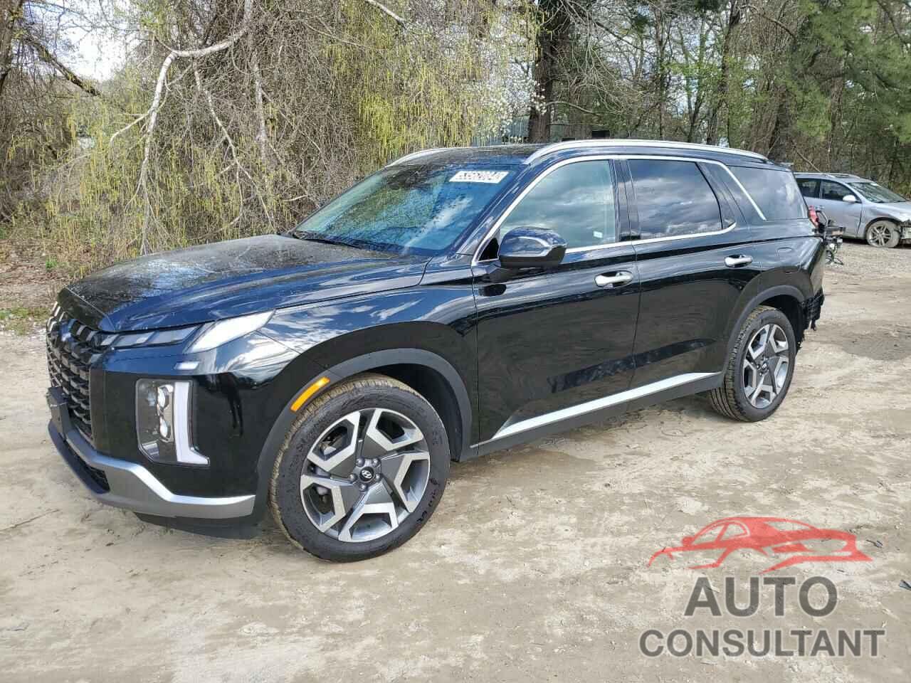 HYUNDAI PALISADE 2024 - KM8R44GEXRU705068