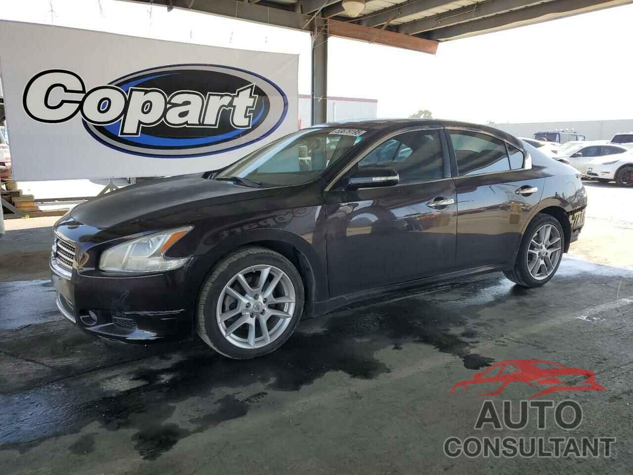 NISSAN MAXIMA 2011 - 1N4AA5AP4BC838534
