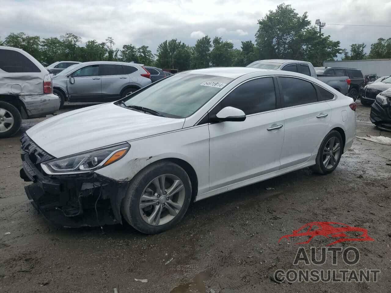 HYUNDAI SONATA 2018 - 5NPE34AF0JH636154