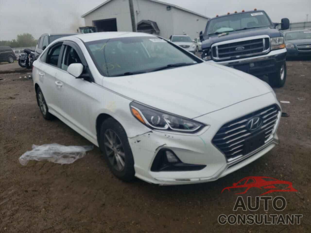HYUNDAI SONATA 2019 - 5NPE24AF1KH790411