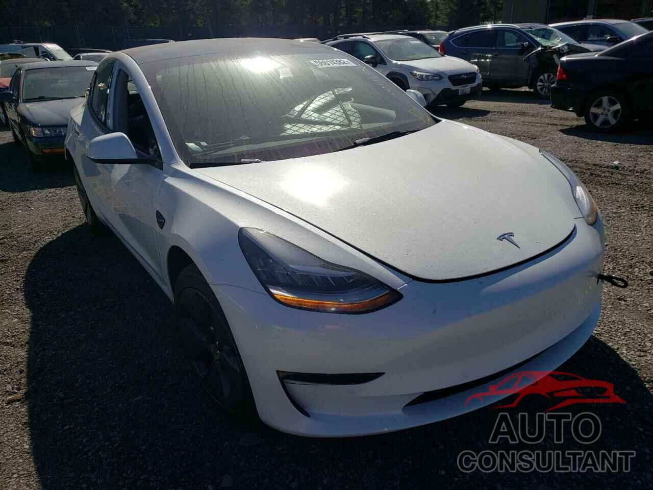 TESLA MODEL 3 2022 - 5YJ3E1EB3NF260156