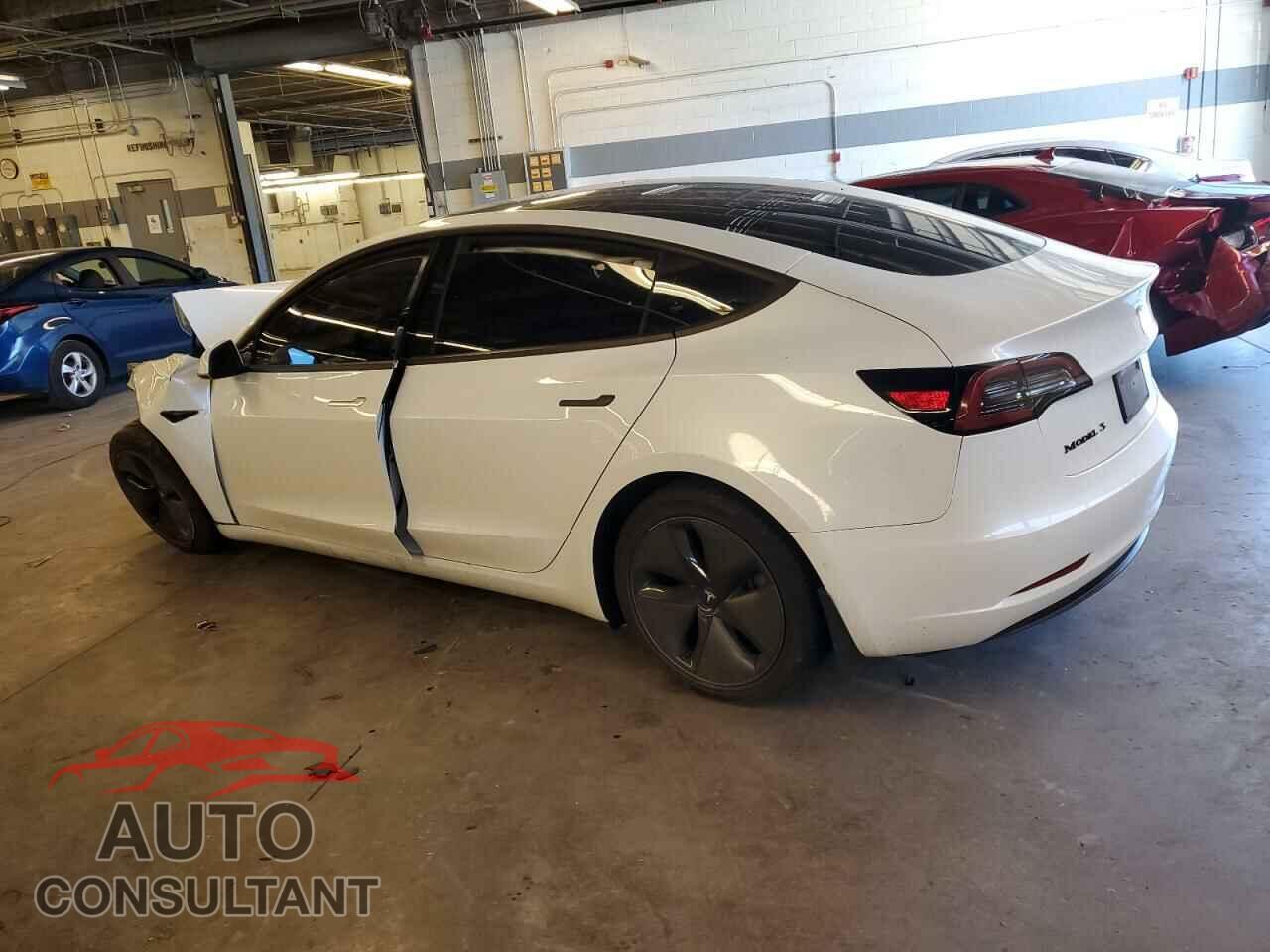 TESLA MODEL 3 2019 - 5YJ3E1EA1KF431876