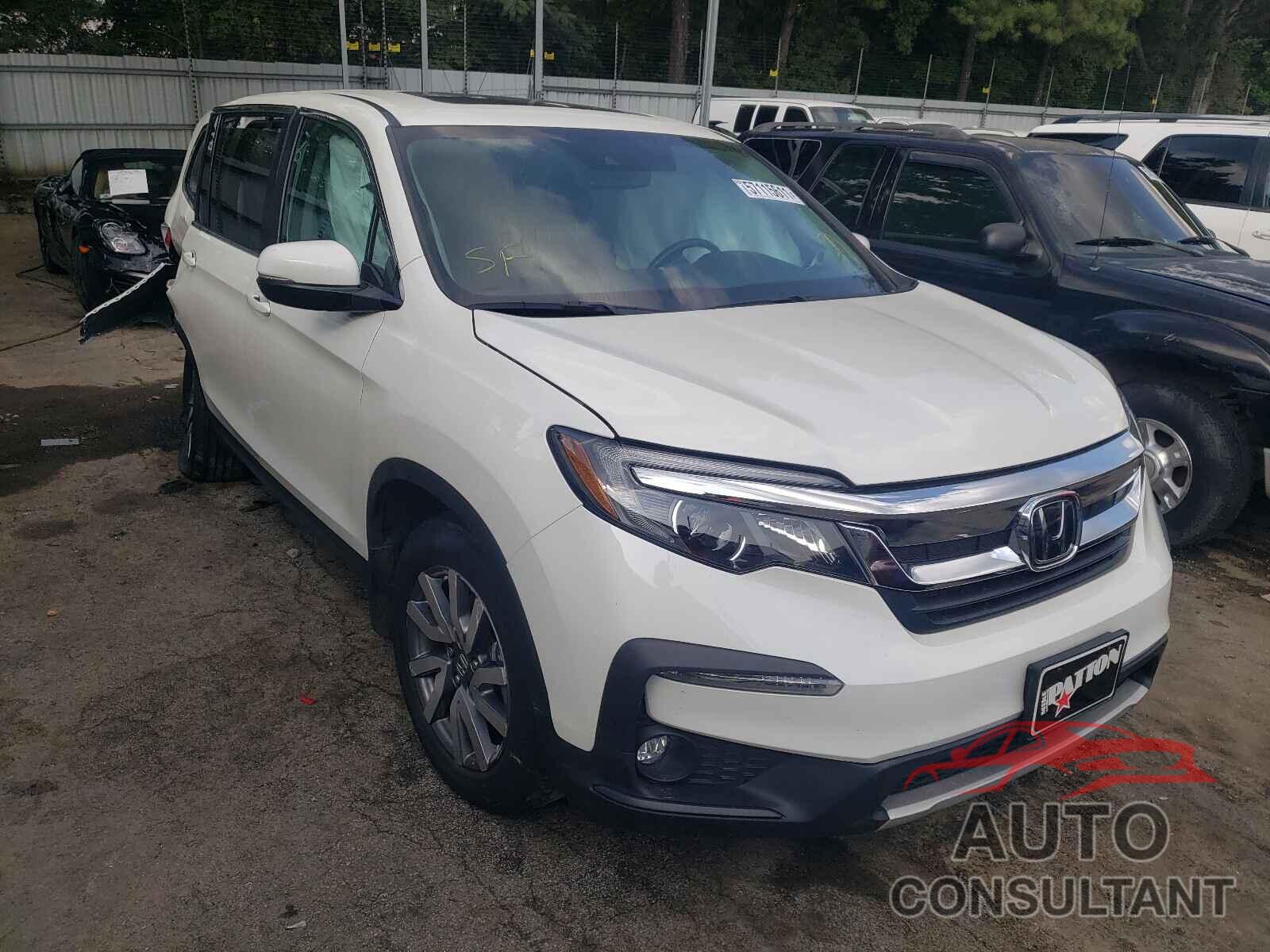HONDA PILOT 2019 - 5FNYF5H56KB004458