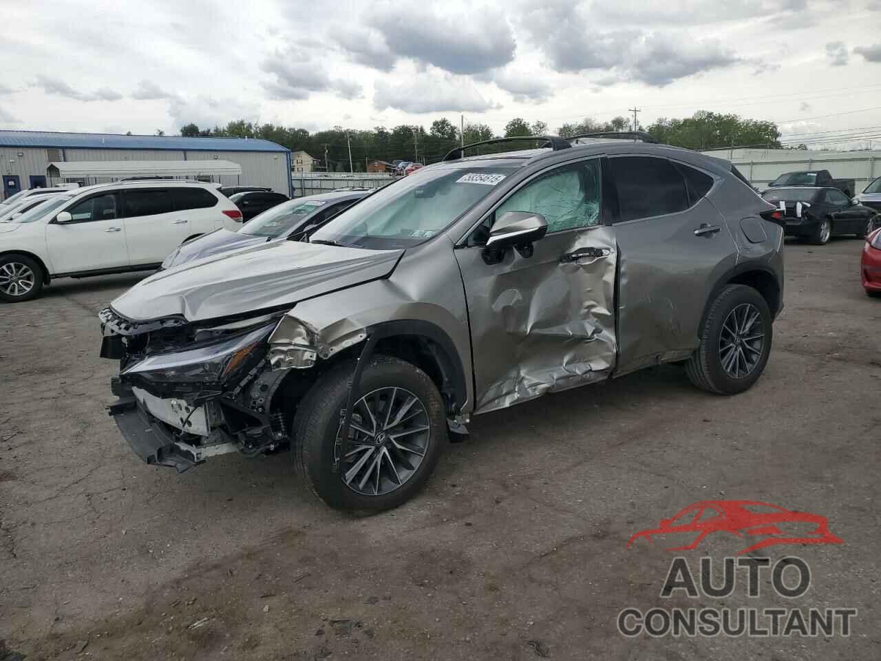 LEXUS NX 350H BA 2024 - 2T2GKCEZ5RC030692