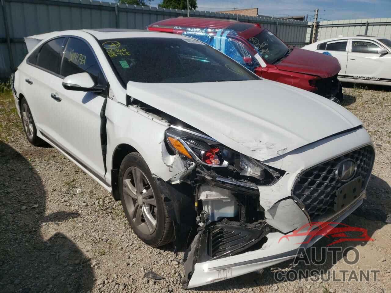 HYUNDAI SONATA 2019 - 5NPE34AF9KH758562