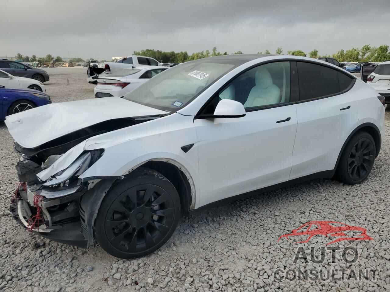 TESLA MODEL Y 2024 - 7SAYGDED1RA306169