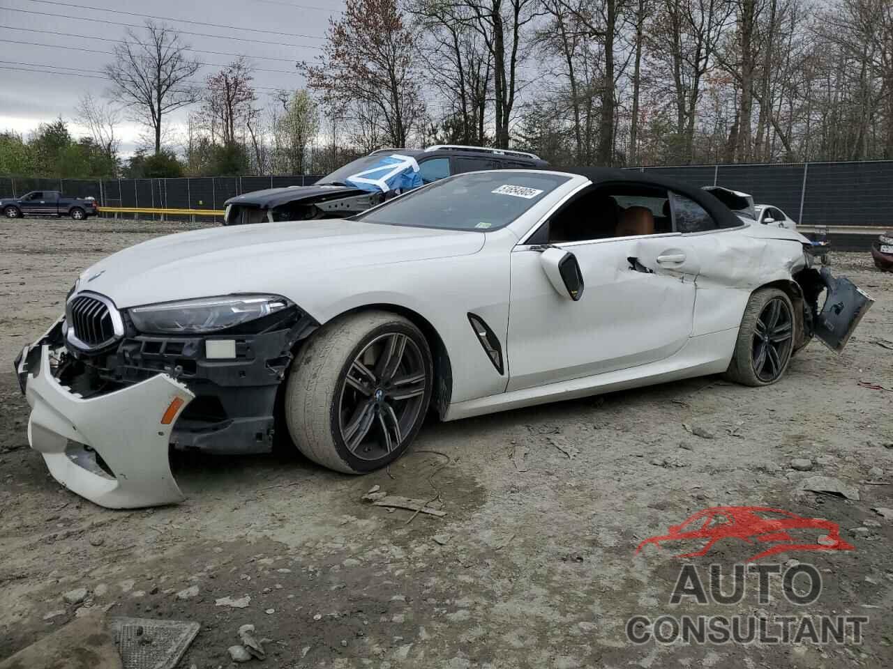 BMW 8 SERIES 2019 - WBAFY4C57KBX29392