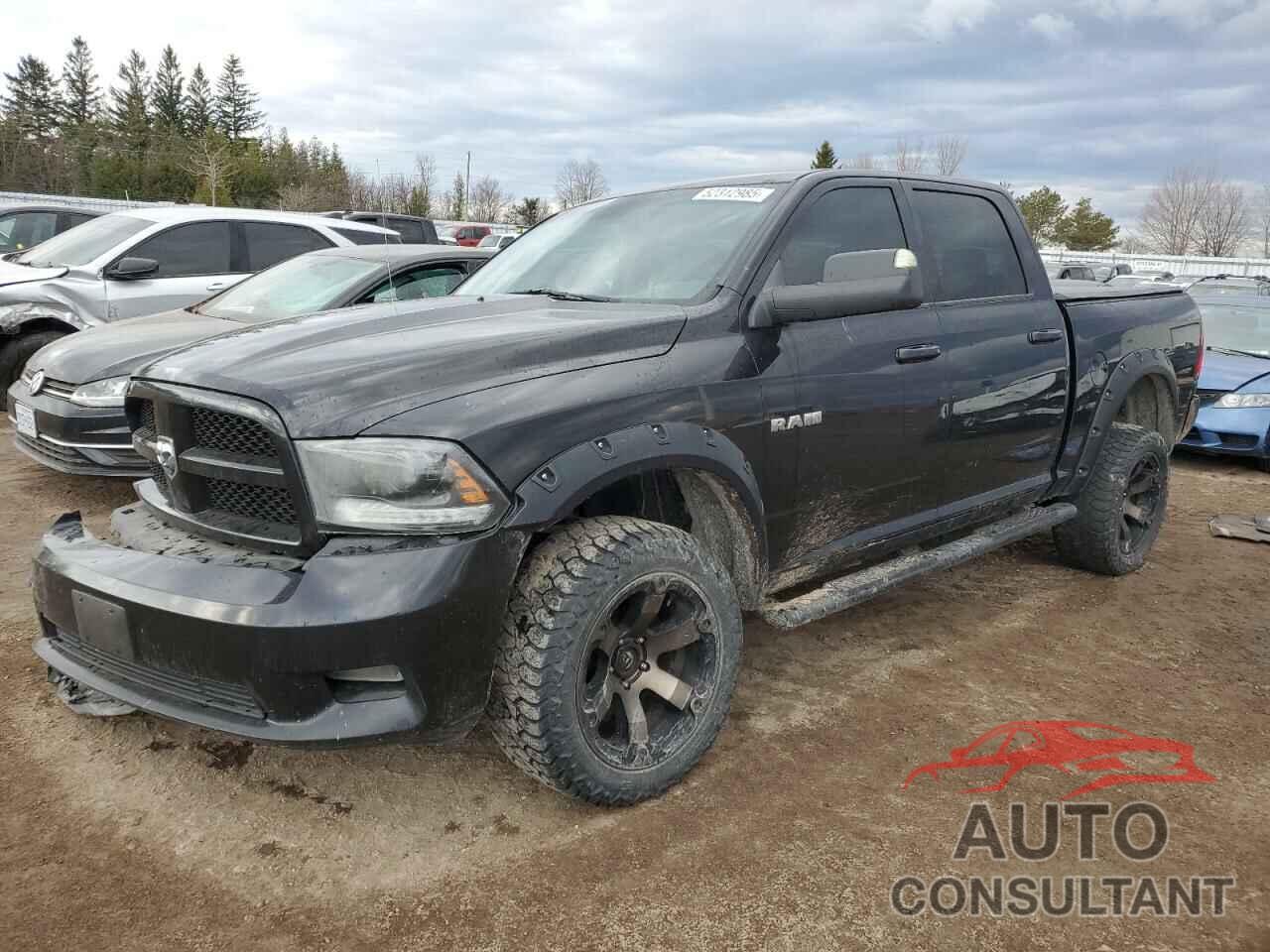 DODGE All Models 2010 - 1D7RV1CT8AS167917