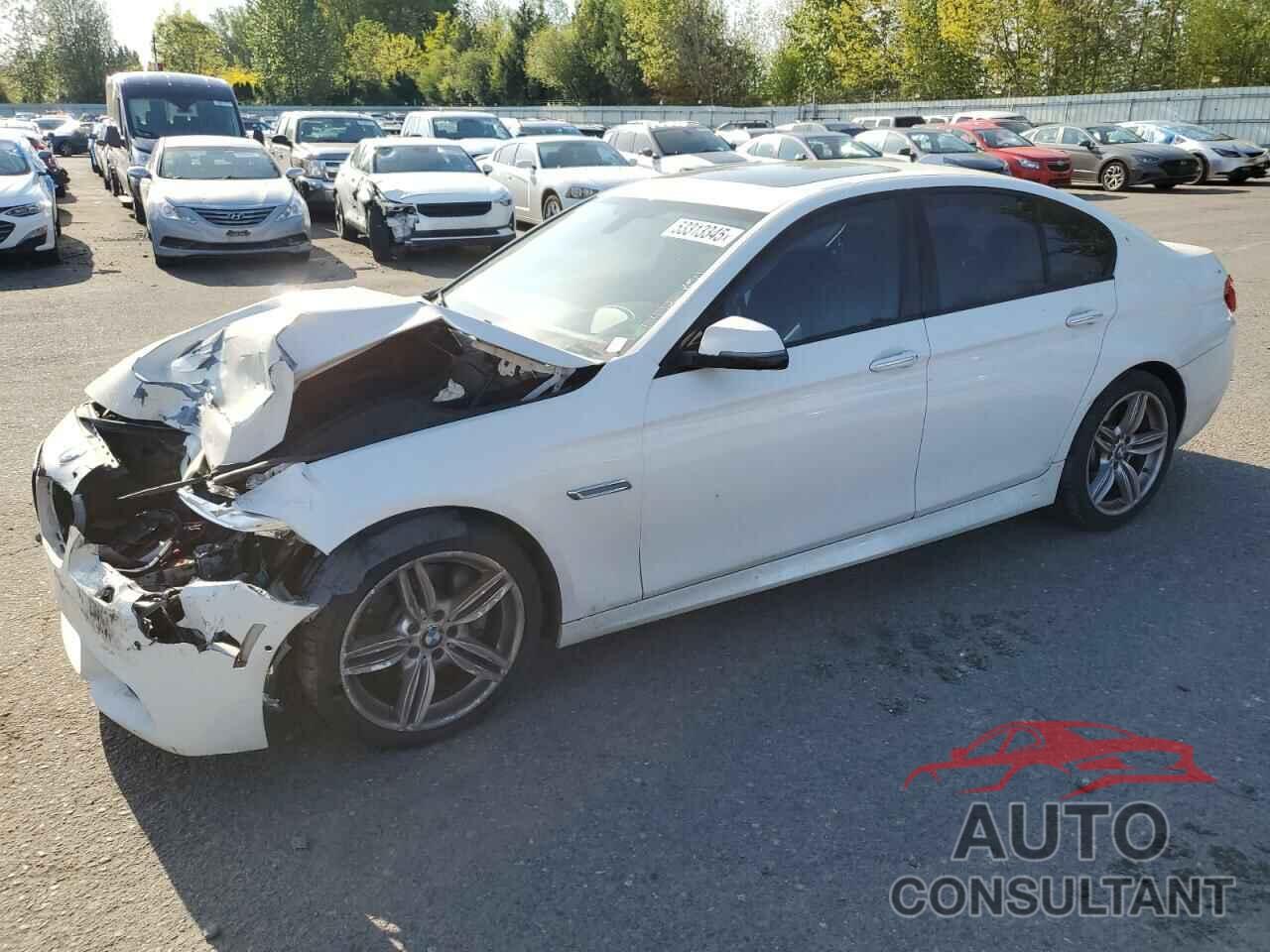 BMW 5 SERIES 2015 - WBAXA5C55FD691539