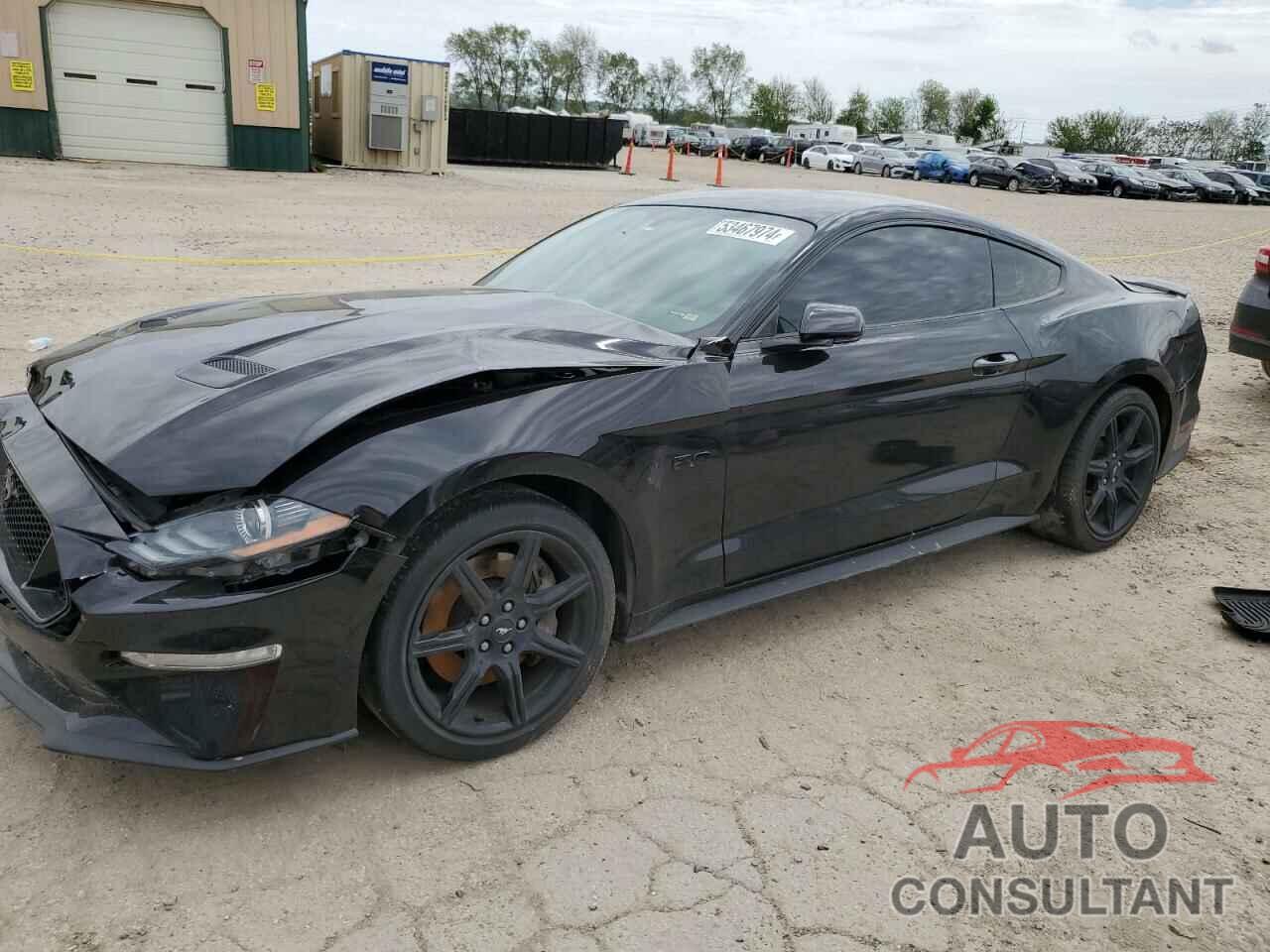 FORD MUSTANG 2019 - 1FA6P8CF1K5124892