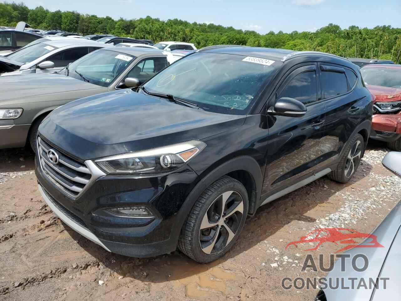 HYUNDAI TUCSON 2017 - KM8J33A28HU418643