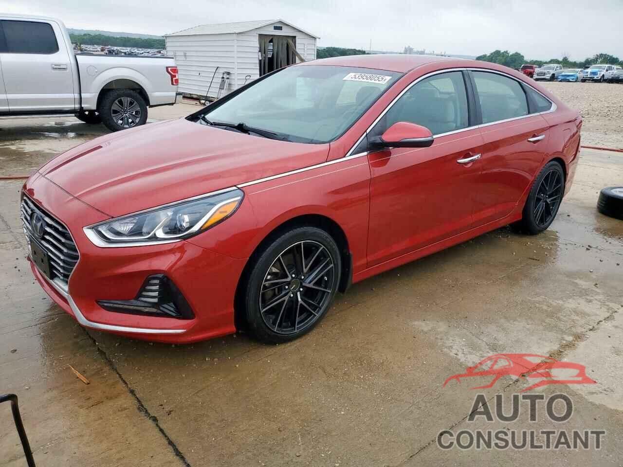 HYUNDAI SONATA 2018 - 5NPE34AF3JH675885