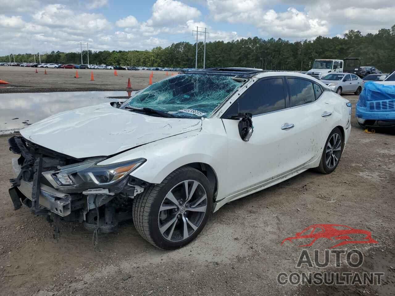 NISSAN MAXIMA 2016 - 1N4AA6AP8GC405506