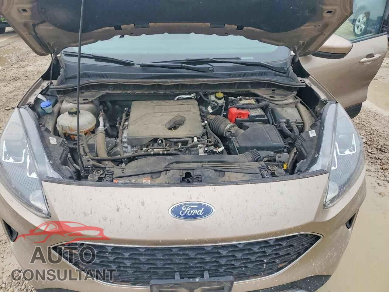 FORD ESCAPE 2020 - 1FMCU9G62LUA76991