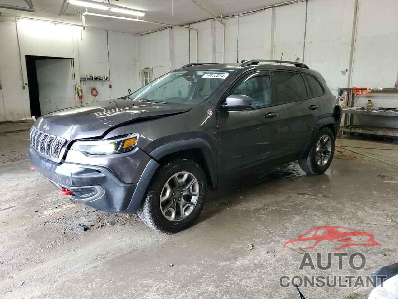 JEEP CHEROKEE 2019 - 1C4PJMBX6KD314115