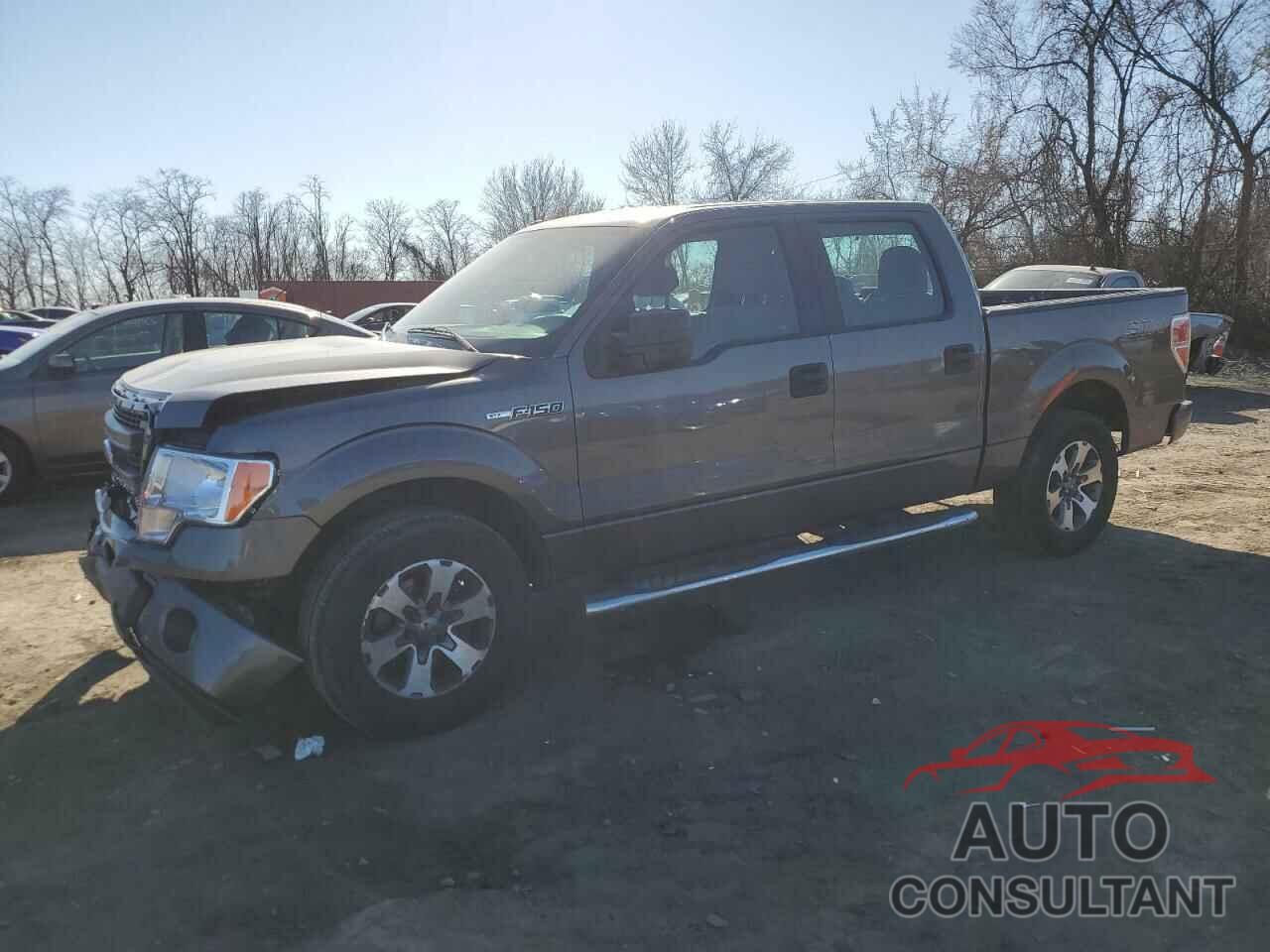 FORD F-150 2014 - 1FTEW1CM1EFC27856