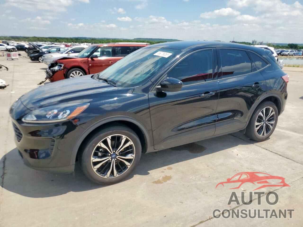 FORD ESCAPE 2022 - 1FMCU0G68NUB55175