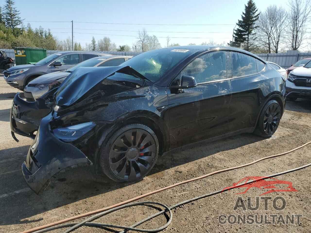 TESLA MODEL Y 2022 - 7SAYGDEF5NF515610