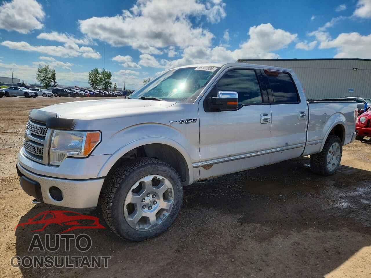 FORD F150 2011 - 1FTFW1EF8BFC54096