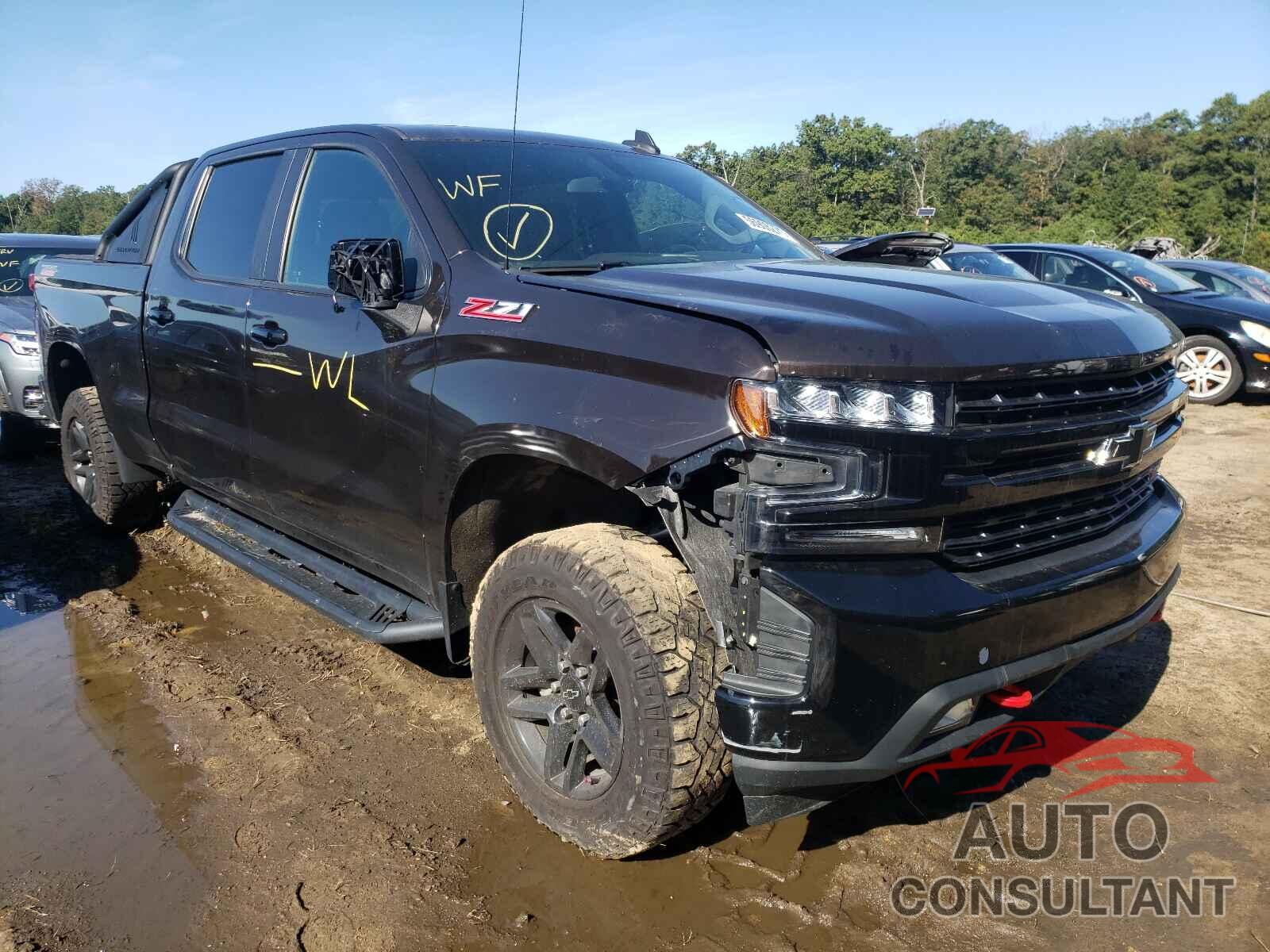 CHEVROLET SILVERADO 2019 - 1GCPYFED1KZ175121