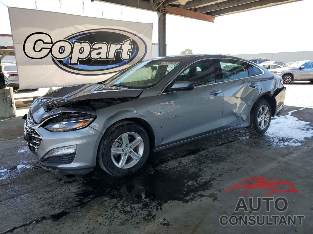 CHEVROLET MALIBU 2024 - 1G1ZD5ST7RF181200