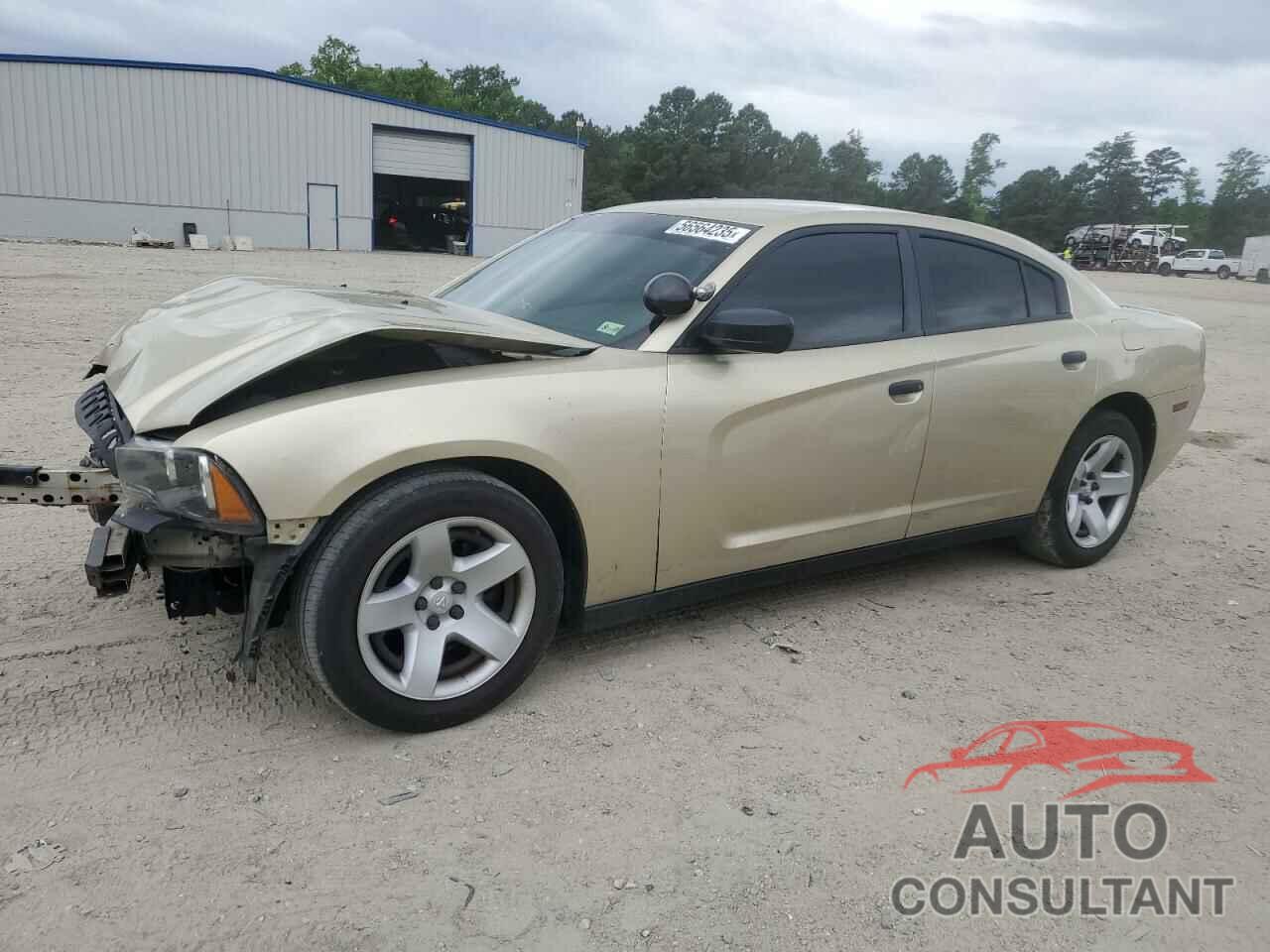 DODGE CHARGER 2013 - 2C3CDXAT3DH619636