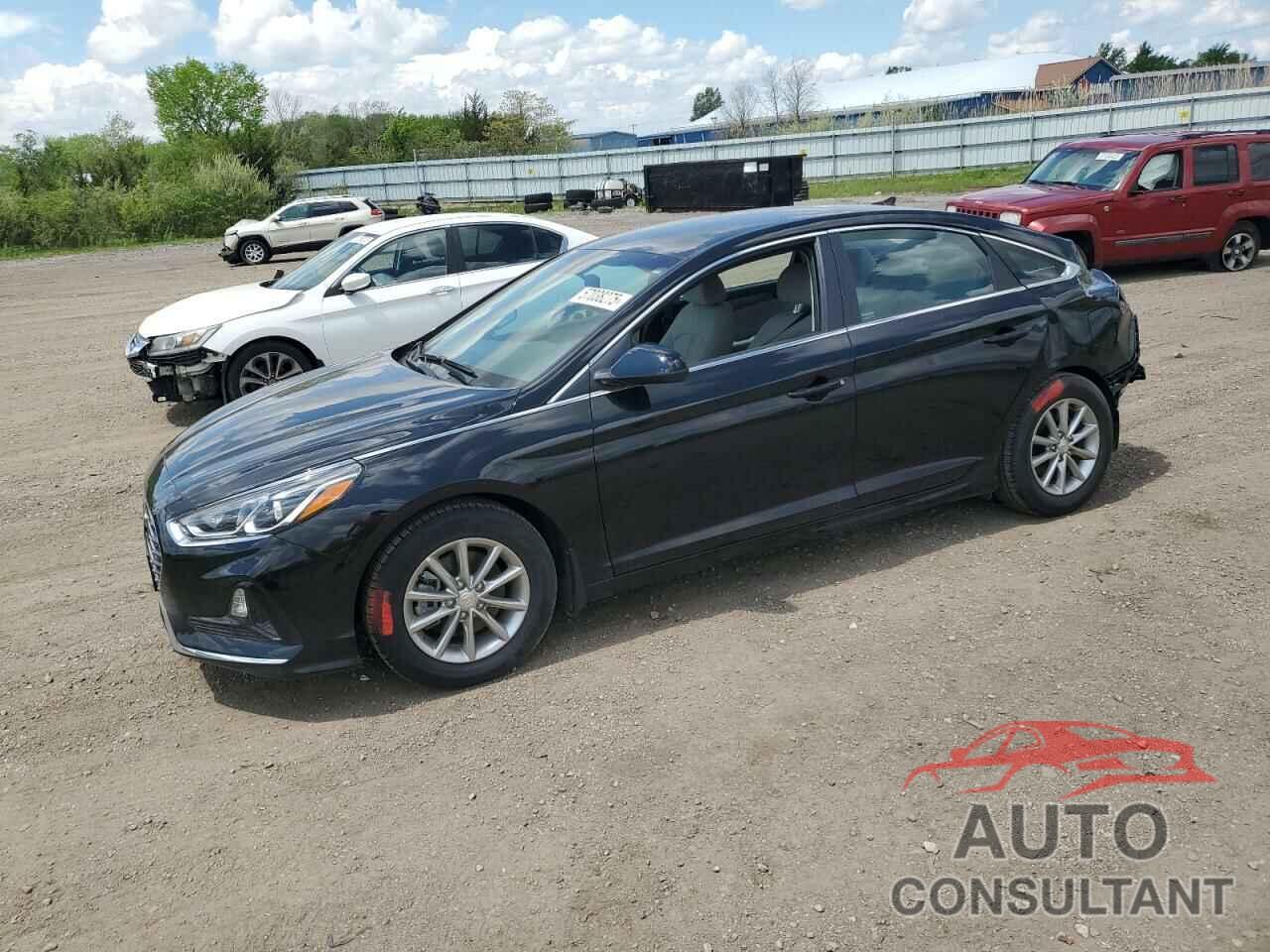 HYUNDAI SONATA 2019 - 5NPE24AF1KH804291