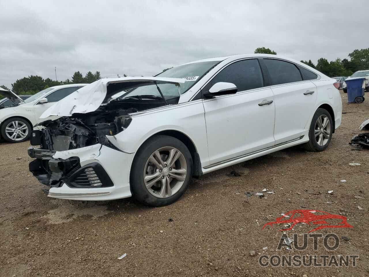 HYUNDAI SONATA 2019 - 5NPE34AF6KH785251