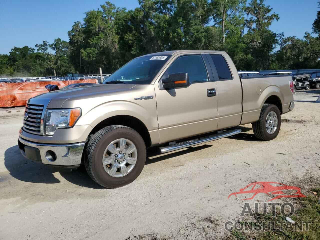 FORD F-150 2012 - 1FTFX1CF5CFA53791