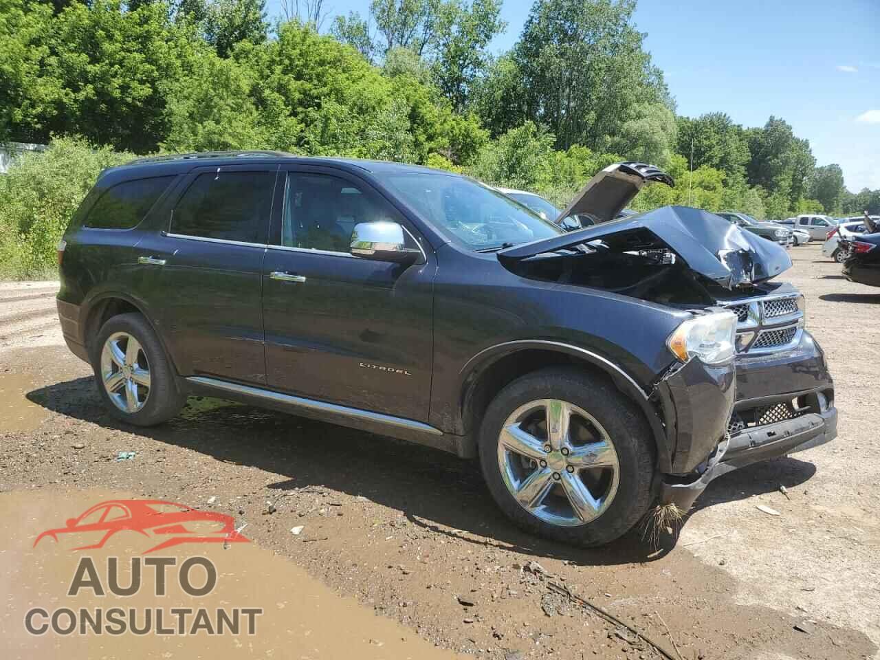 DODGE DURANGO 2013 - 1C4RDJEG0DC674449