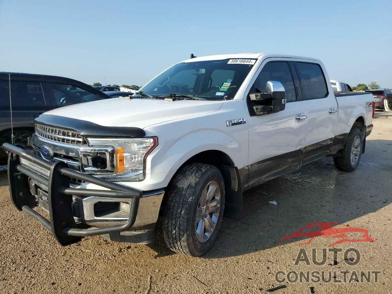 FORD F-150 2019 - 1FTFW1E48KKC30600