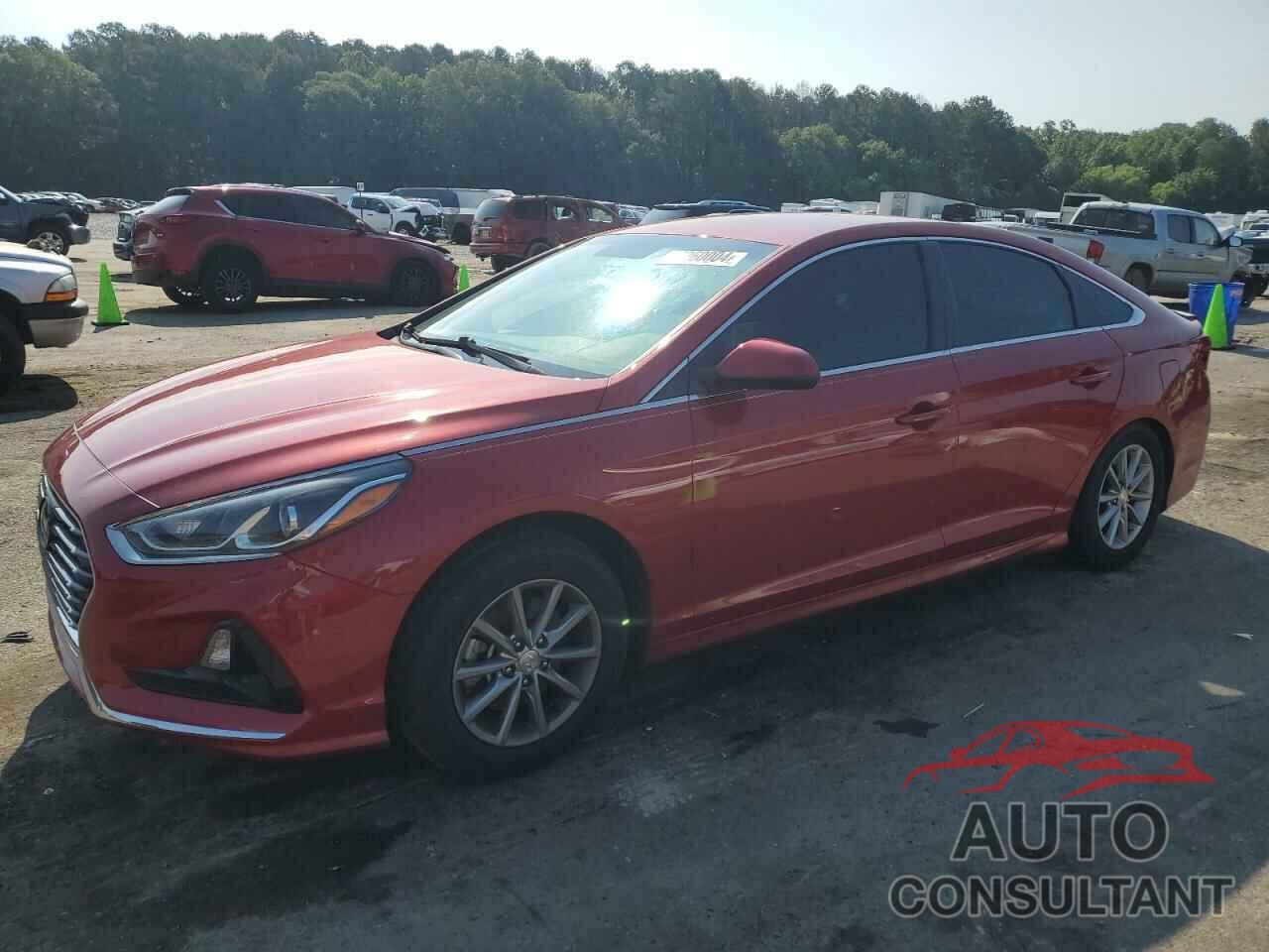 HYUNDAI SONATA 2019 - 5NPE24AFXKH819890