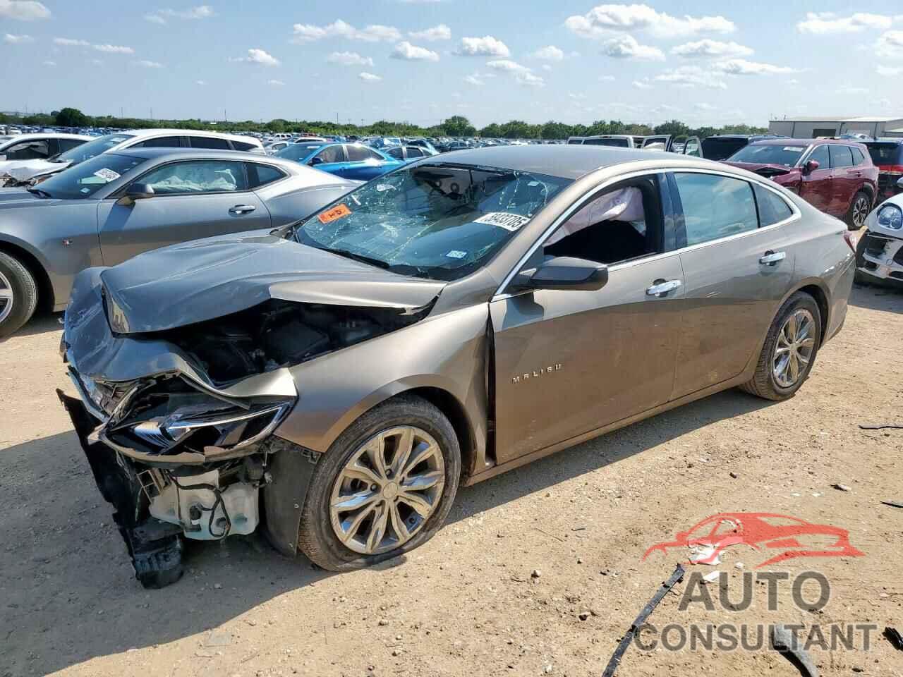 CHEVROLET MALIBU 2020 - 1G1ZD5ST5LF072919