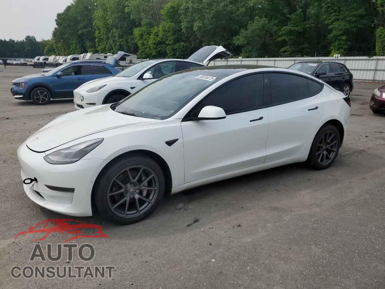 TESLA MODEL 3 2022 - 5YJ3E1EA7NF125978